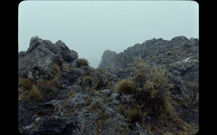 Screen Shot 2016-04-09 at 10.48.49 PM